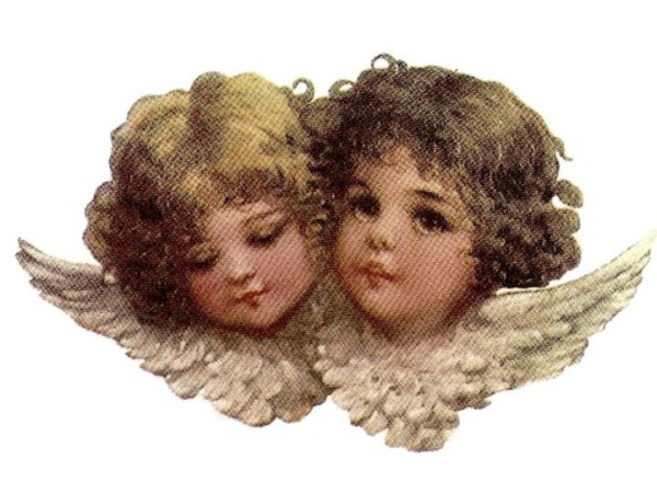 画像1: CHERUB D (1)