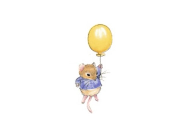 画像1: MOUSYKINS (1)