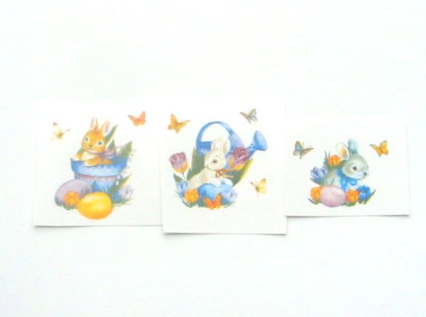 画像1: RABBIT (1)