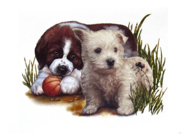 画像1: DOGS (1)