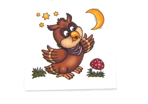 画像1: OWL (1)