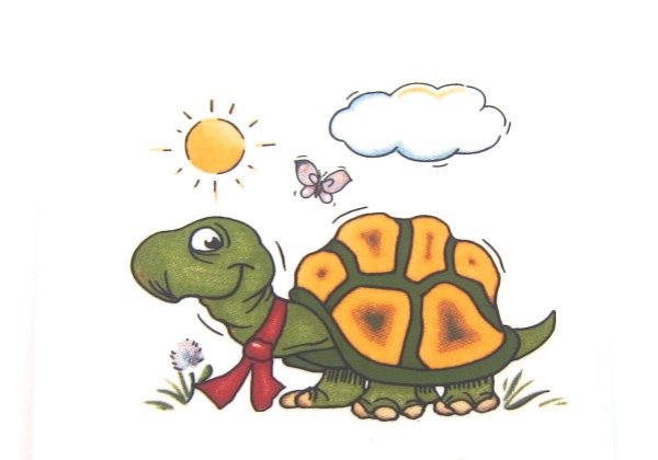 画像1: TURTLE (1)