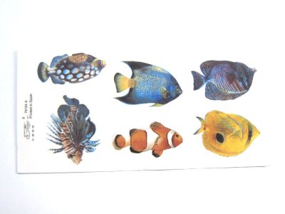 画像1: TROPICAL FISHES