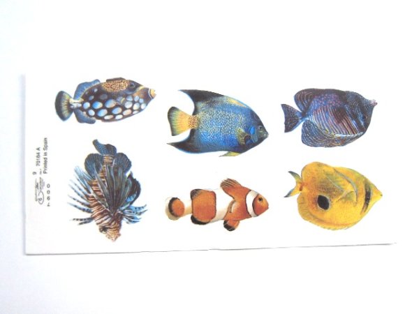画像1: TROPICAL FISHES (1)