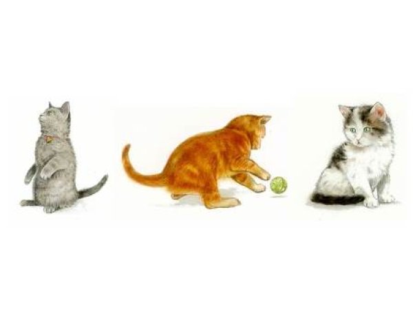 画像1: KITTENS (1)