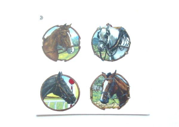 画像1: HORSES (1)