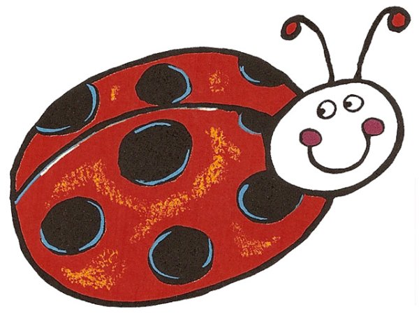 画像1: LADY BIRD (1)