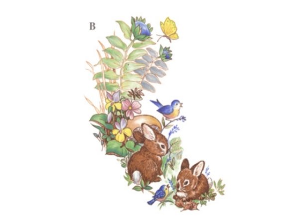 画像1: BUNNIES (1)