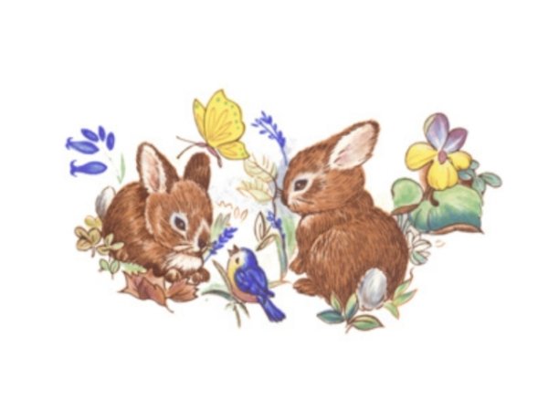 画像1: BUNNIES (1)