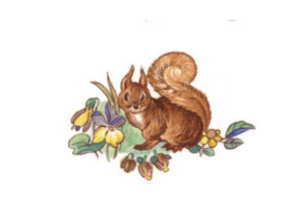 画像1: BUNNIES (1)