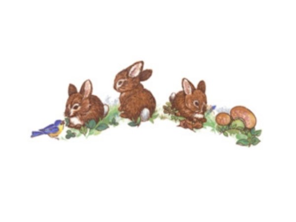 画像1: BUNNIES (1)