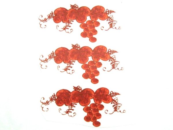 画像1: 赤葡萄 (1)