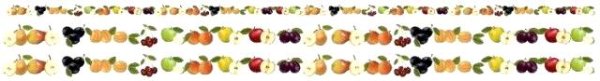 画像1: FRUITS border (1)