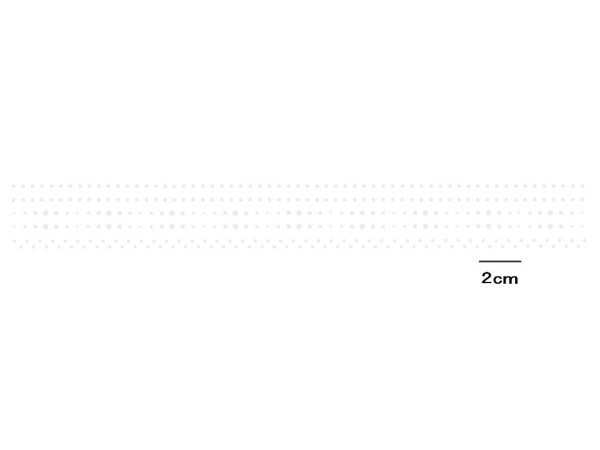 画像1: BORDER 　DOT (1)