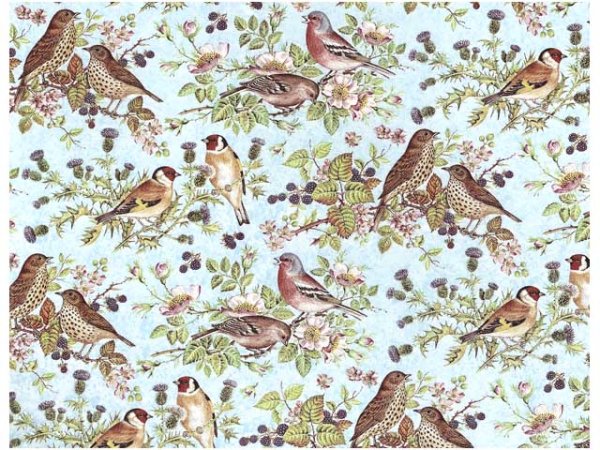 画像1: BIRD CHINTZ BLUE　（Ｌ） (1)