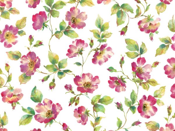 画像1: BRIAR ROSE　（Ｌ） (1)
