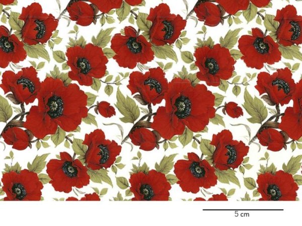 画像1: RED POPPY CHINTZ CLEAR SMALL　（Ｌ） (1)