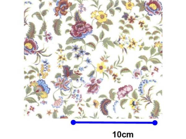 画像1: JUNO SMALL (CLEAR)  (Ａ４) (1)