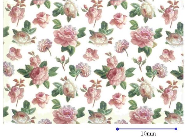 画像1: Vesta small CLEAR  (Ａ４) (1)