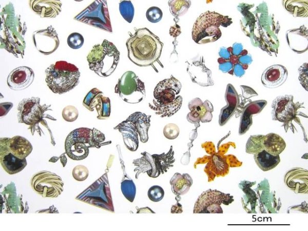 画像1: JEWELS CHINTZ (A4) (1)