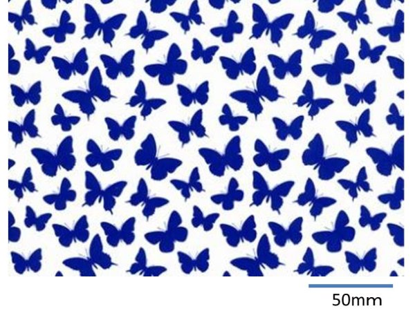 画像1: BUTTERFLIES CHINTZ BLUE  (Ａ４) (1)