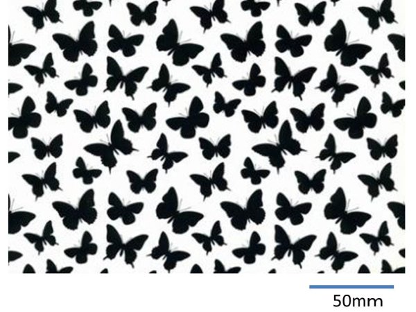 画像1: BUTTERFLIES CHINTZ BLACK  (Ａ４) (1)