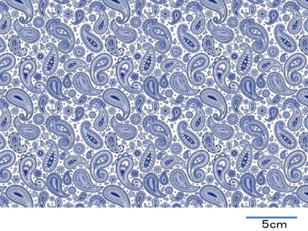 画像1: CACHEMIR  (Ａ４) (1)