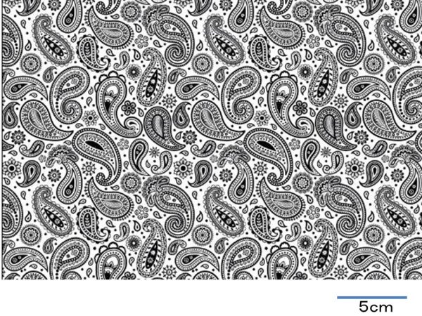 画像1: CACHEMIR  (Ａ４) (1)