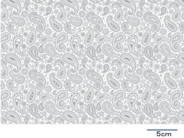 画像1: CACHEMIR  (Ａ４) (1)