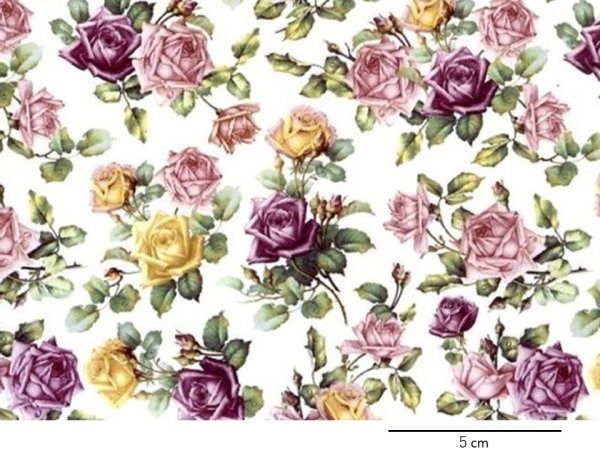 画像1: leda small (L) (1)