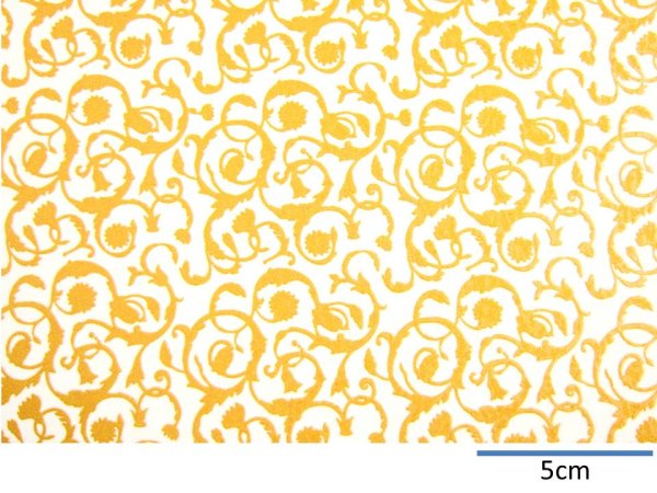 画像1: ARABESQUE (1)