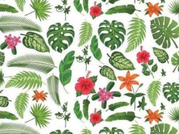 画像1: TROPICAL SS (A4) (1)
