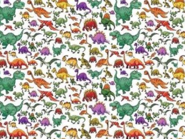 画像1: DINOSAURS　（Ｌ） (1)