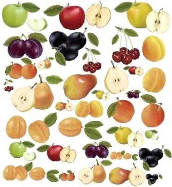画像1: FRUITS (1)