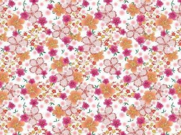 画像1: Komon Nadeshiko (L) (1)