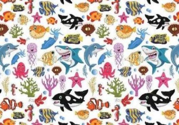 画像1: Under The Sea (L) (1)