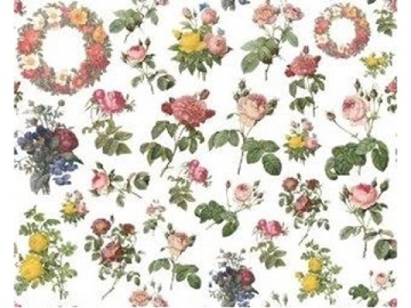 画像1: The Roses SS(A4) (1)