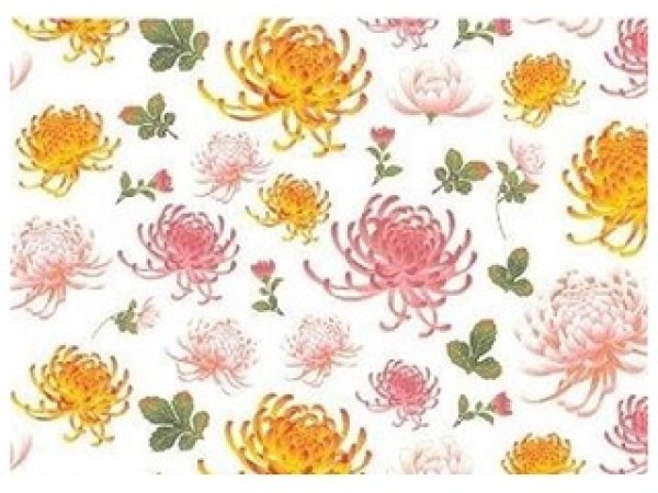 画像1: Kiku Chrysanthemum (L) (1)