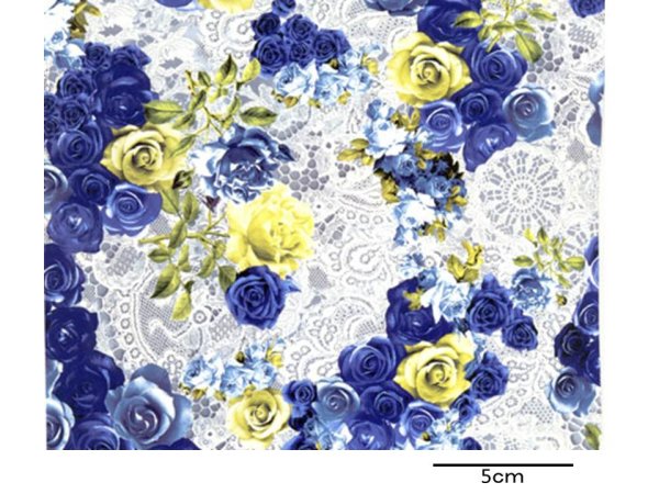 画像1: BLUE DAFNE S/S (A4) (1)