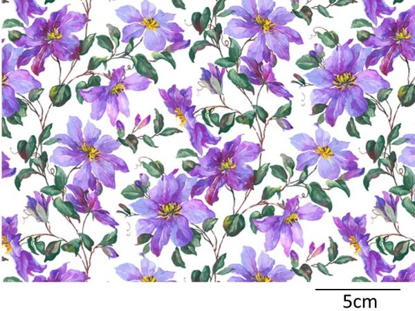 画像1: CLEMATIS　（Ｌ） (1)