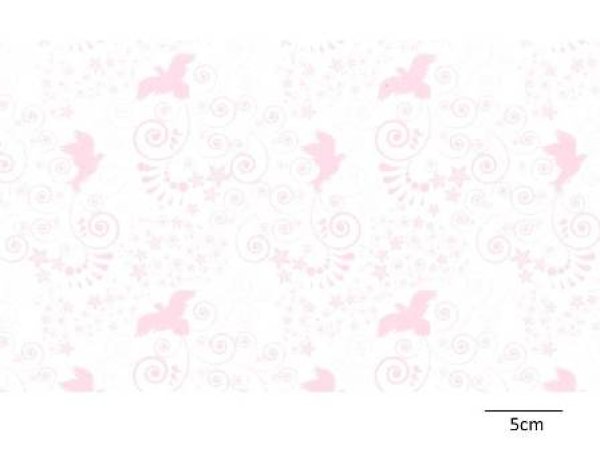 画像1: La Paloma (1)