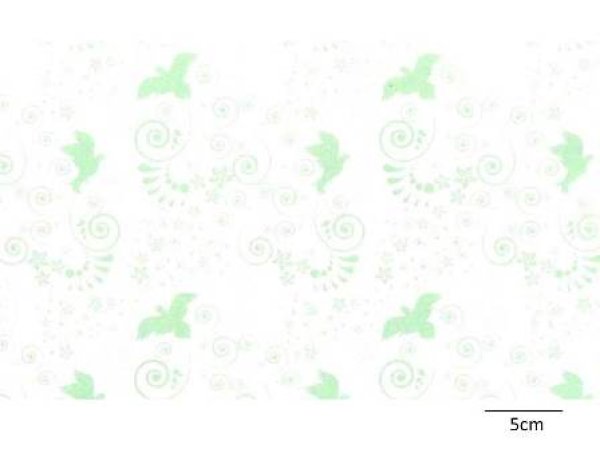 画像1: La Paloma (1)