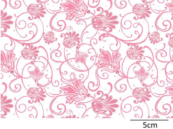 画像1: PARISIANPINK　（Ｌ） (1)