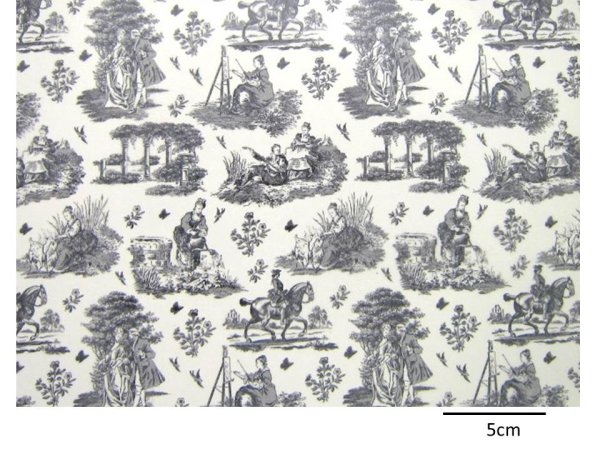 画像1: TOILE DE JOUY (L) (1)