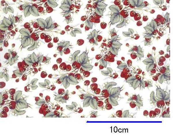 画像1: STRAWBERRIES CHINTZ　（Ｌ） (1)
