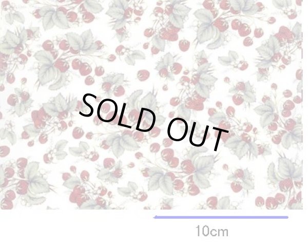 画像1: STRAWBERRIES CHINTZ  (Ａ４) (1)