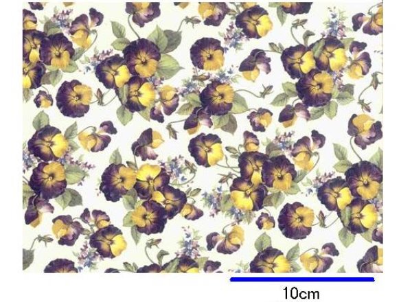 画像1: PANSIES SMALL  (Ａ４) (1)