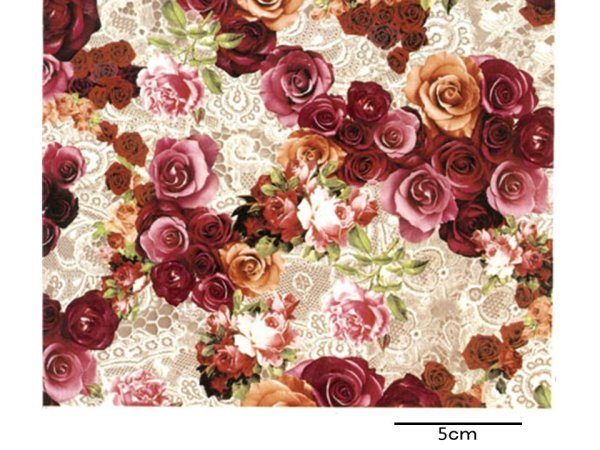 画像1: RED DAFNE S/S (A4) (1)
