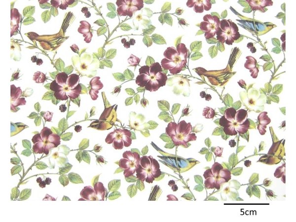 画像1: BIRDY GARDEN　（Ｌ） (1)