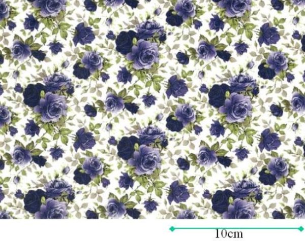 画像1: MOONLIGHT ROSE CHINTZ　（Ｌ） (1)